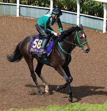 タガノデュード