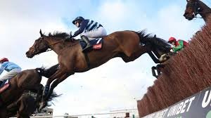 scottish grand national