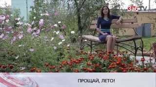 Погода на сентябрь в Чите