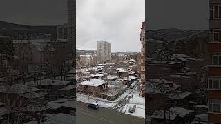 Чита 23 апреля 2025 года. Снег, температура минус 1. #забайкальскийкрай #чита #питер