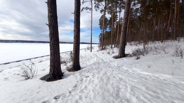 14 января в Удмуртии осадков не ожидается // ИА Сусанин - проверенные новости Ижевска и Удмуртии, факты и описания событий.