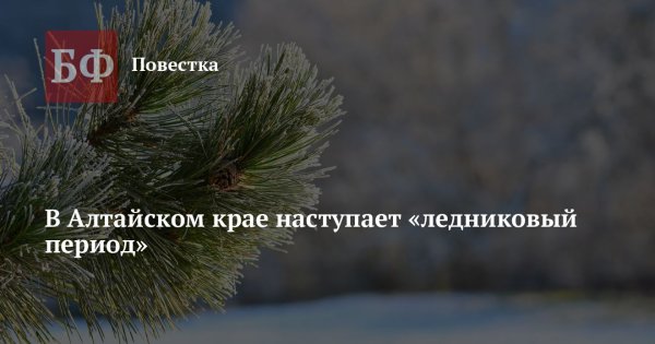 В Алтайском крае наступает «ледниковый период» | Банкфакс 13 января, 2026
