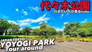🌿【4K】広大な代々木公園をMAP付きでぐるっとご案内【行き方|園内周遊散策|渋谷原宿駅】Tour around. Yoyogi Park. Tokyo Shibuya Travel