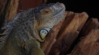 Новость дня: "Отмена занятий в Челябинске в среду, 6 фев..." и другие главные новости за 2019-02-13