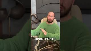 Как обналичить материнский капитал законно