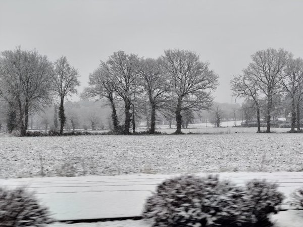 Le froid (et la neige) de retour en France fin janvier ? Ce que disent vraiment les prévisions météo