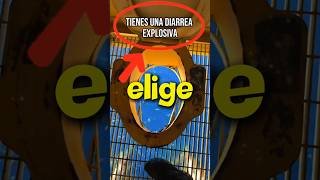TIENES UNA DIARREA EXPLOSIVA 💥💩