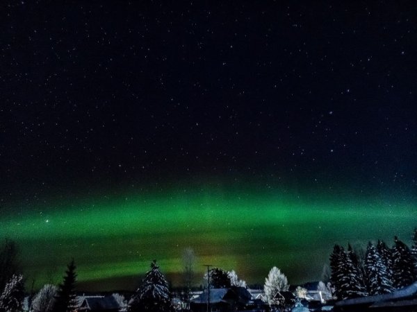 Пермяки смогут увидеть сильное северное сияние в ночь на 21 января — В курсе.ру