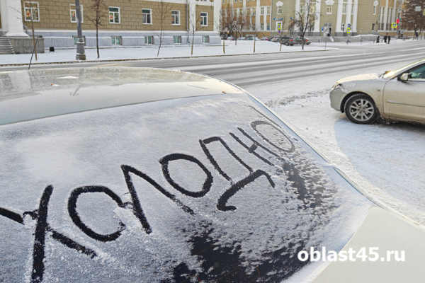 В Кургане из-за морозов дома остаются все школьники 