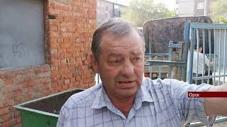 26052023 В центре Орска умер лось