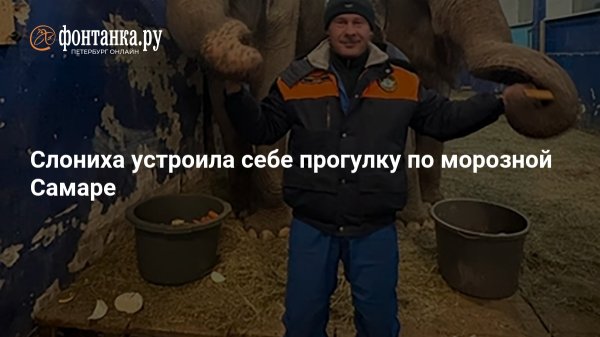 Слониха устроила себе прогулку по морозной Самаре 