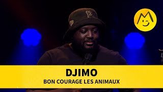 Djimo - Bon courage les animaux