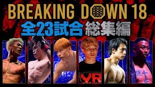 ブレイキングダウン18 総集編【全試合解説つき】