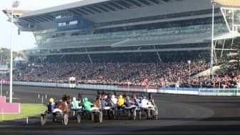 Les pronos hippiques du samedi 24 janvier 2026