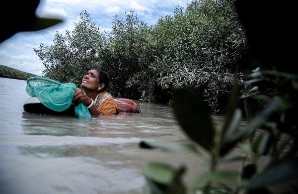 Is there a gendered aspect to saltwater crocodile attacks in the Sundarbans? Research hints at possibility