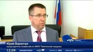 Депутаты гордумы Тюмени обеспокоены интенсивной вырубкой деревьев в городе