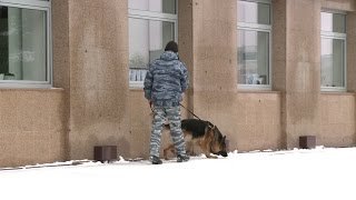 Эвакуация Администрации города Тюмени