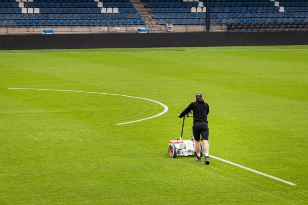 Ботафого – Крузейро: прогноз и ставка на ТС от искусственного интеллекта — 30 января 2026