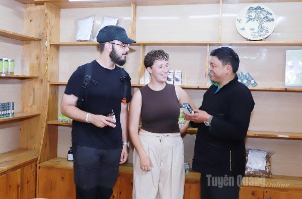 Развитие бизнеса: увеличение количества, повышение качества.