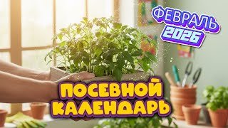 План посевов на ФЕВРАЛЬ 2026: Точные даты для крепкой рассады