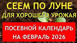 Когда сеять на рассаду в ФЕВРАЛЕ 2026. Точный лунный посевной календарь на февраль 2026 по дням.