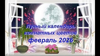Лунный календарь комнатных растений и цветов на февраль 2026 года