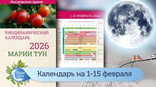 Лунный календарь Марии Тун на первую половину февраля 2026