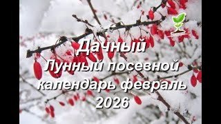 Дачный Лунный посевной календарь на февраль 2026 года для садоводов и огородников
