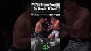 Yi Zha Drops Bombs On Westin Wilson (UFC Shanghai) OddSmokerMMA