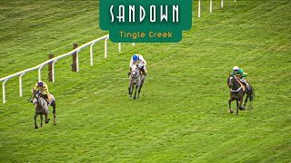 IL ETAIT TEMPS WINS THE TINGLE CREEK! 🤯 Dramatic Grade 1 Victory in Sandown Thriller!