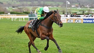 The New Lion wins International, but race marred by Sir Gino pelvic injury | Full Race | Racing TV