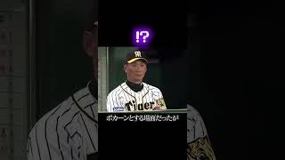 大山悠輔のランニングホームラン?! #阪神タイガース