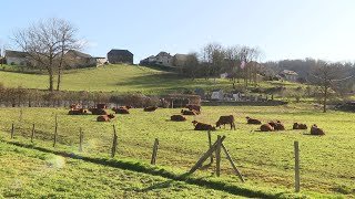 Palmarès des villes et villages où il fait bon vivre : 4 lauréats en Limousin
