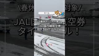 JAL国内線タイムセール来た！GW含む旅行が今だけ特価✈️沖縄9,900円〜