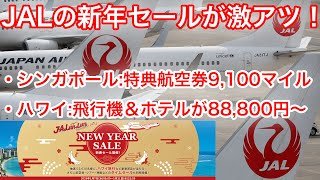 【速報】JALの新春セールがお得すぎ！NEW YEAR SALEのお知らせ