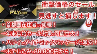 【超激アツ！】JALのブラックフライデーのタイムセールが凄すぎる...