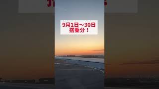 【JAL✈️1万円以下⁉️】7/27〜タイムセールスタート✈️#jal #タイムセール #セール情報 #セール中 #お得情報 #お得生活 #お得情報速報 #節約主婦 #お得旅行 #子連れ旅行