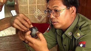 Mogok : La vallée des rubis de Birmanie