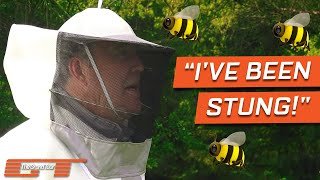 Jeremy Clarkson Gets Stung By A Bee 🐝 🐝 #Shorts