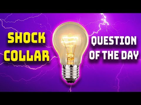 MUSTACHE MANIA (Shock Collar Trivia) 1/29/26 | Brooke and Jeffrey – MOViN 92.5