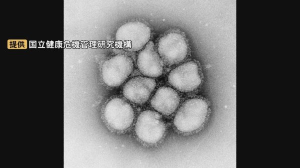 インフルエンザB型増え始め…島根では今冬、記録取り始めて最も多い数字記録 | BSSニュース | BSS山陰放送 (1ページ)