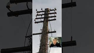 Возможна ли на Солнце вспышка с серьезными последствиями для Земли? #владимирсурдин #космос #знания