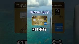 【ANA】SFC修行ってなに？ #anaカード #陸マイラー #アメックス #ana #airplane #クレジットカード