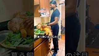 父親から目を離そうとしないイグアナ