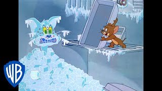 トムとジェリー | ジェリーがトムの面倒を？| WB Kids