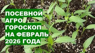 Февраль 2026: Благоприятные Дни Для Посева Семян Овощей и Цветов?!