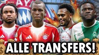 JACKSON-DEAL! BAYERN-ABGANG! BONIFACE-HAMMER! ALLE DEADLINE DAY - DEALS!