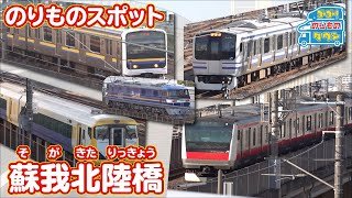 【のりものスポット】蘇我北陸橋（JR京葉線、総武本線・外房線、内房線）