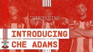 INTRODUCING... Southampton FC new signing Che Adams