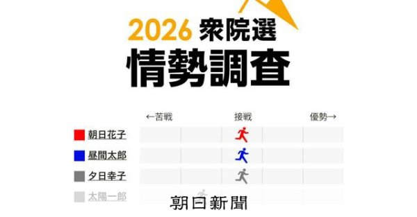 全289選挙区の情勢がグラフで分かる　朝日情勢調査ページを公開：朝日新聞